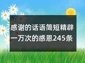 感謝的話語簡短精辟一萬次的感恩245條