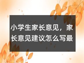 小學(xué)生家長意見，家長意見建議怎么寫最簡單231條
