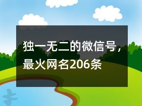 獨(dú)一無二的微信號(hào)，最火網(wǎng)名206條