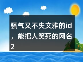 騷氣又不失文雅的id，能把人笑死的網(wǎng)名214條