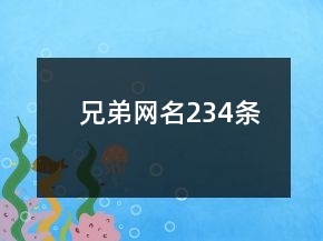兄弟網(wǎng)名234條