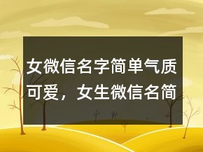 女微信名字簡(jiǎn)單氣質(zhì)可愛，女生微信名簡(jiǎn)單可愛204條