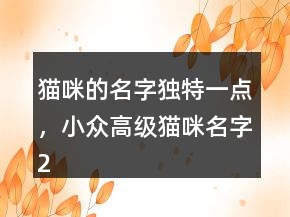 貓咪的名字獨特一點，小眾高級貓咪名字242條