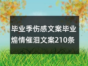 畢業(yè)季傷感文案畢業(yè)煽情催淚文案210條