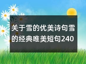 關于雪的優(yōu)美詩句雪的經(jīng)典唯美短句240條