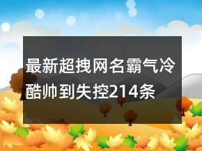 最新超拽網(wǎng)名霸氣冷酷帥到失控214條