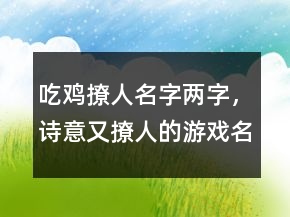 吃雞撩人名字兩字，詩(shī)意又撩人的游戲名字250條