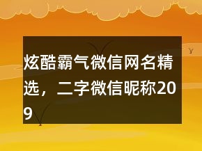 炫酷霸氣微信網名精選，二字微信昵稱209條