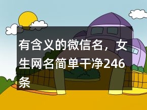 有含義的微信名，女生網(wǎng)名簡單干凈246條