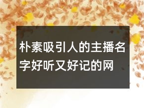 樸素吸引人的主播名字好聽又好記的網(wǎng)名249條