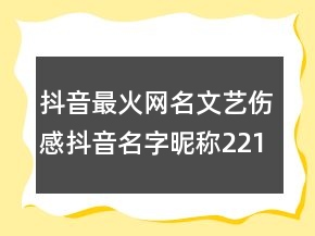 抖音最火網(wǎng)名文藝傷感抖音名字昵稱221條