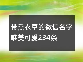 帶熏衣草的微信名字唯美可愛234條