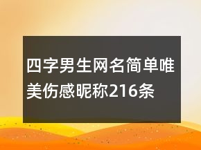 四字男生網(wǎng)名簡單唯美傷感昵稱216條