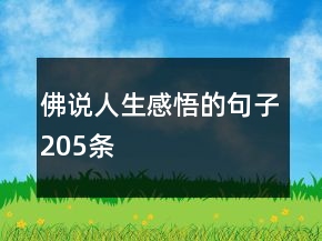 佛說人生感悟的句子205條