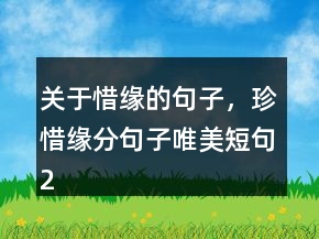 關(guān)于惜緣的句子，珍惜緣分句子唯美短句246條