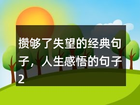 攢夠了失望的經(jīng)典句子，人生感悟的句子216條