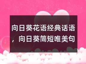 向日葵花語經(jīng)典話語，向日葵簡短唯美句子203條
