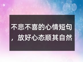 不悲不喜的心情短句，放好心態(tài)順其自然的句子241條