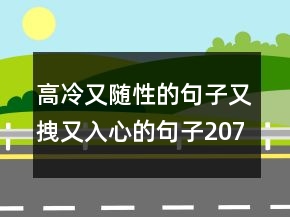高冷又隨性的句子又拽又入心的句子207條