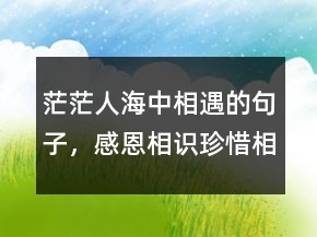 茫茫人海中相遇的句子，感恩相識(shí)珍惜相遇語句216條