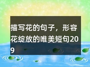 描寫花的句子，形容花綻放的唯美短句209條