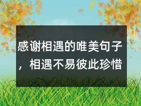 感謝相遇的唯美句子，相遇不易,彼此珍惜句子243條