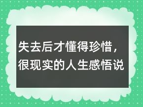 失去后才懂得珍惜，很現(xiàn)實的人生感悟說說234條