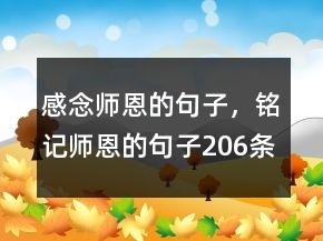 感念師恩的句子，銘記師恩的句子206條
