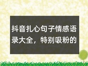 抖音扎心句子情感語(yǔ)錄大全，特別吸粉的短句238條