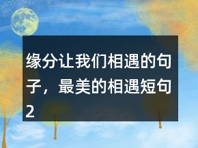 緣分讓我們相遇的句子，最美的相遇短句220條