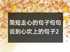 簡短走心的句子句句說到心坎上的句子221條