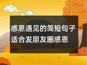 感恩遇見的簡短句子適合發(fā)朋友圈感恩的話204條