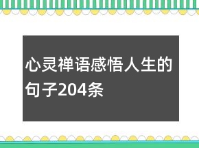 心靈禪語感悟人生的句子204條