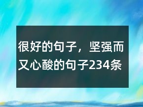 很好的句子，堅(jiān)強(qiáng)而又心酸的句子234條