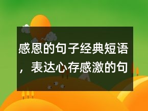 感恩的句子經(jīng)典短語，表達(dá)心存感激的句子238條