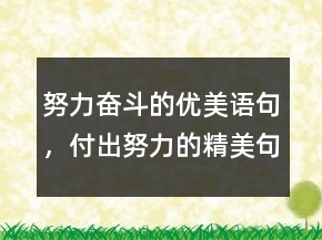 努力奮斗的優(yōu)美語句，付出努力的精美句子215條