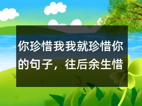 你珍惜我我就珍惜你的句子，往后余生,惜我者,我惜之246條