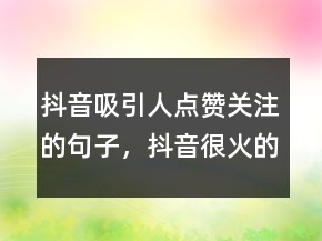 抖音吸引人點(diǎn)贊關(guān)注的句子，抖音很火的短句243條