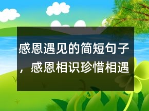 感恩遇見的簡短句子，感恩相識珍惜相遇語句205條