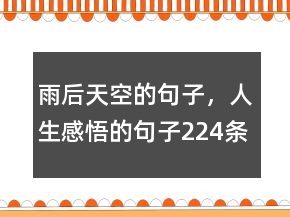 雨后天空的句子，人生感悟的句子224條