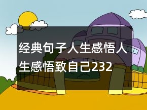 經(jīng)典句子人生感悟,人生感悟致自己232條