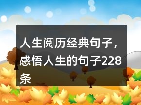 人生閱歷經(jīng)典句子，感悟人生的句子228條