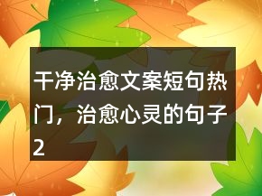 干凈治愈文案短句熱門，治愈心靈的句子205條