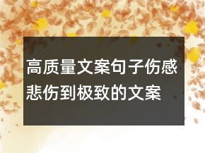 高質(zhì)量文案句子傷感悲傷到極致的文案句子239條