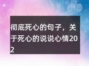 徹底死心的句子，關(guān)于死心的說(shuō)說(shuō)心情202條