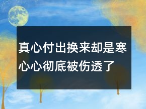 真心付出換來卻是寒心心徹底被傷透了的句子216條