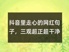 抖音里走心的網(wǎng)紅句子，三觀超正超干凈的文案201條