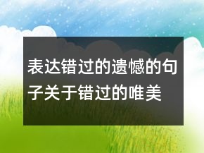 表達(dá)錯(cuò)過(guò)的遺憾的句子關(guān)于錯(cuò)過(guò)的唯美句子227條