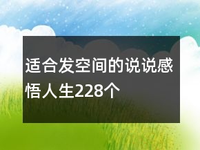 適合發(fā)空間的說說感悟人生228個