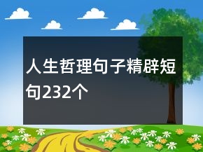 人生哲理句子精辟短句232個